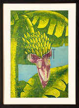 Load image into Gallery viewer, A Banana Tree