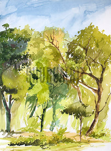 Nature