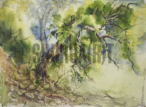 Painting of a Tree