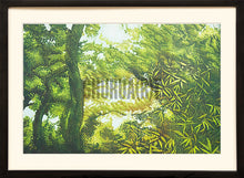 Load image into Gallery viewer, Scene of a Forest