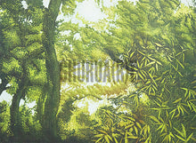 Load image into Gallery viewer, Scene of a Forest