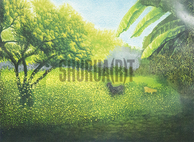 Scene of a Forest