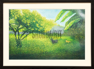 Scene of a Forest