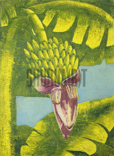 Load image into Gallery viewer, A Banana Tree
