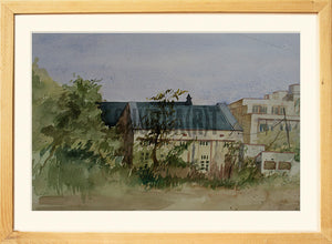 BHU Campus Scene